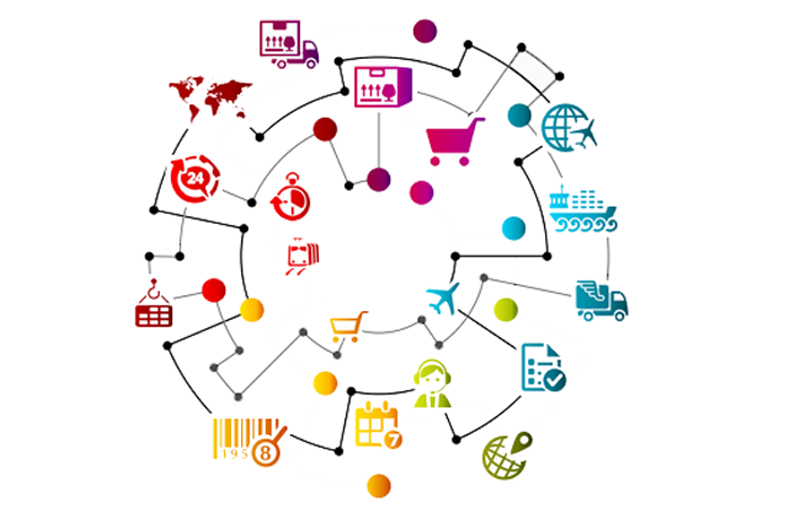 distribution network of wholesalers